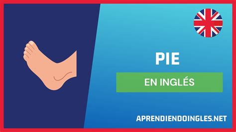Dar Pie A En Ingles Wordreference
