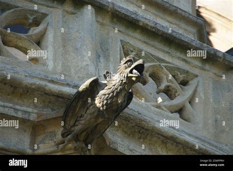 dar victorialit stone