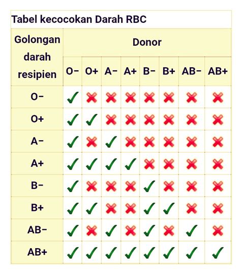 darah ab positif