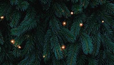 Dark Christmas Aesthetic Wallpaper Simple