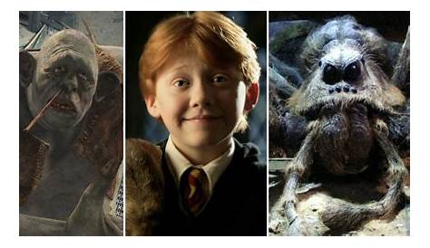 Top 10 Strongest Magical Creatures in Harry Potter | HobbyLark