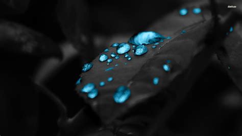 Dark Blue Wallpaper Hd 1080P