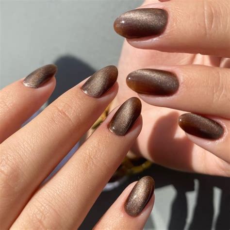 Dark Brown Dip Nails