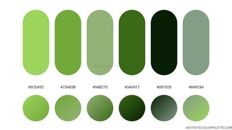dark grass hex code
