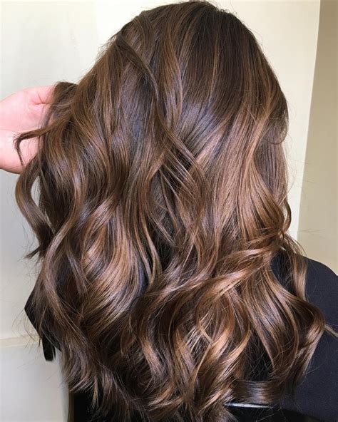 Free Dark Light Brown Hair Color For New Style