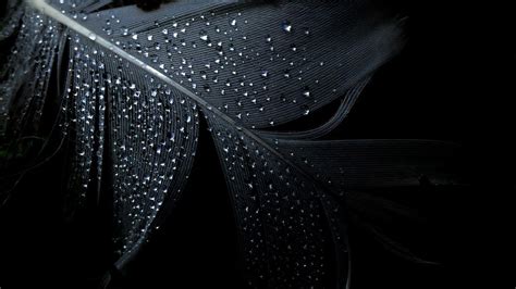 dark photography background
