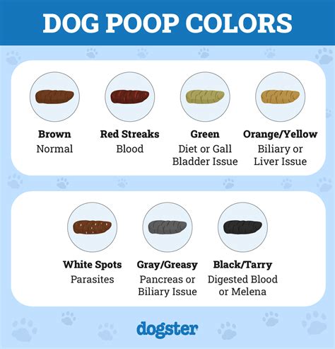 Dark Poop Dog