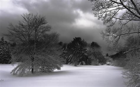 Embrace the Season with a Dramatic Dark Winter Background for Your Website Design