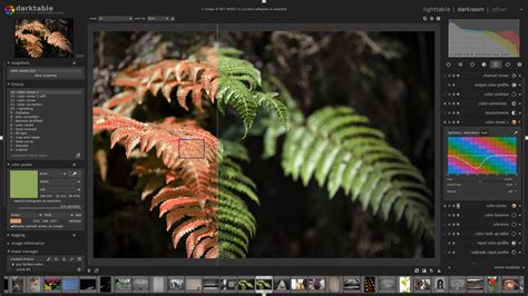 Darktable Software Image