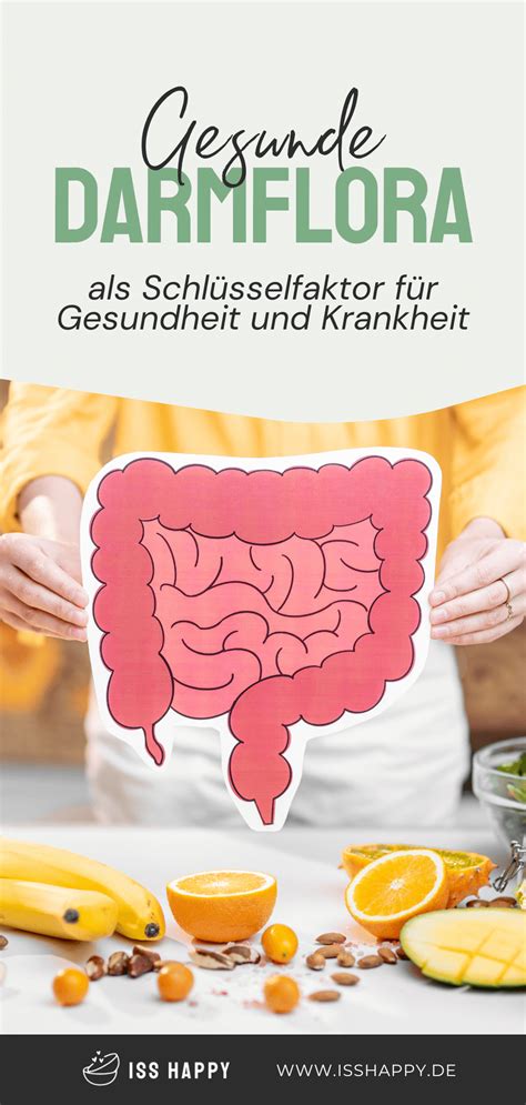 darmmikrobiom zentrum der gesundheit