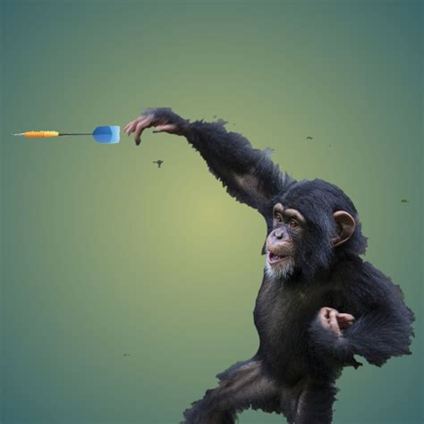 Dart-Throwing Monkey Meaning