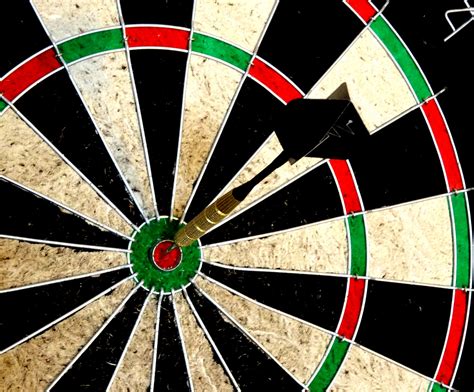 Dartboard View