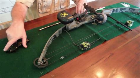 darton excel compound bow