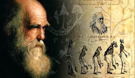 Mappa Concettuale Darwin / L'Evoluzione Ist. Superiore | AiutoDislessia