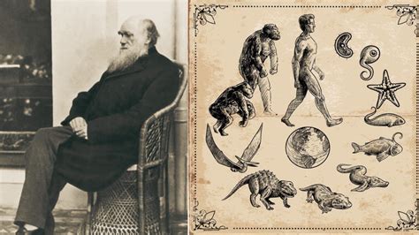 Darwin On Evolution