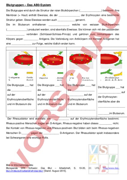 Was ist das AB0System?