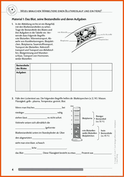 Blutkreislauf Arbeitsblätter Zum Ausdrucken Worksheets