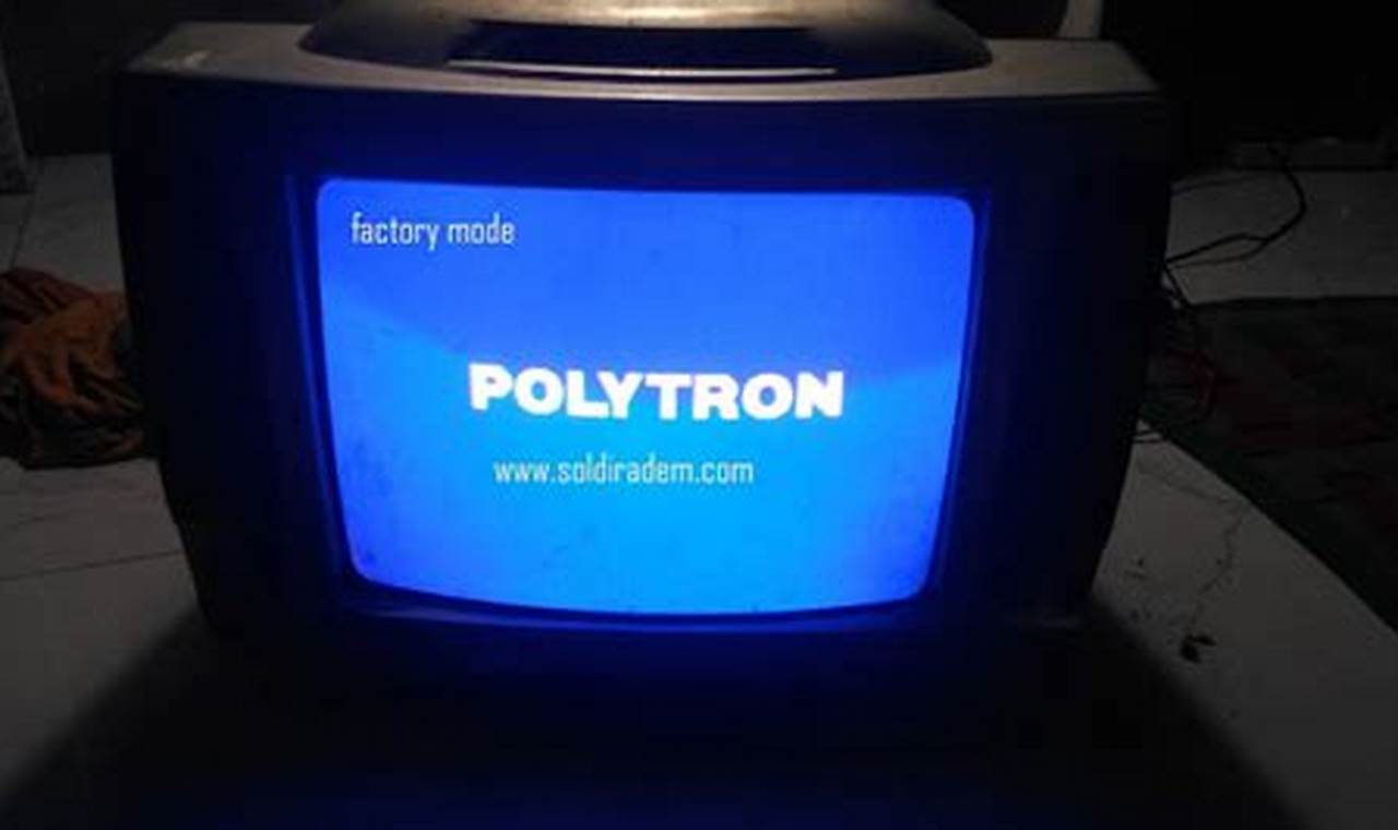 Pabrik Data TV Polytron yang Siap Melambungkan Minimax