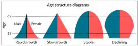 Data Analysis: Age Structure Diagrams Biology Graphs: Age St