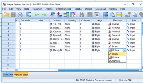 data analysis in management with spss software