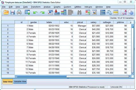 data analysis spss software