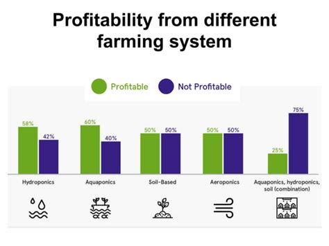 Analisis Data dan Optimasi
