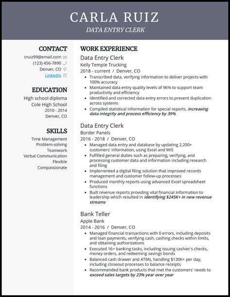 data capturer cv example with no experience