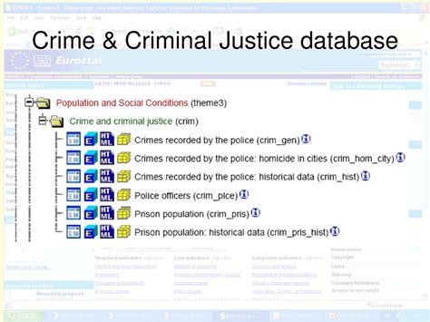 Data Collection In Criminal Justice