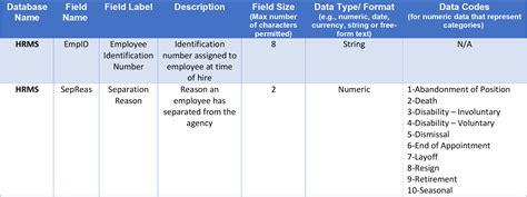 Data Definition Document