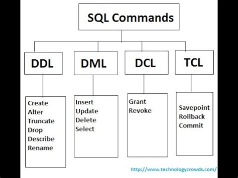 data definition language and data manipulation language