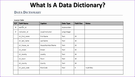 Data Dictionary Template Example