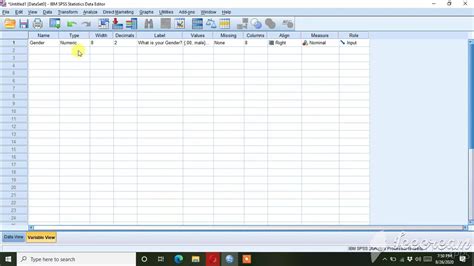 data entry in spss software