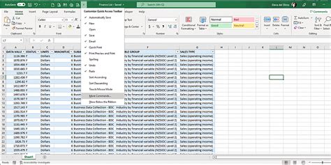 Data Entry Spreadsheet