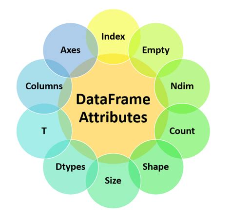 Data Frame Attributes