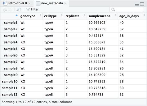 Data Frame Example R