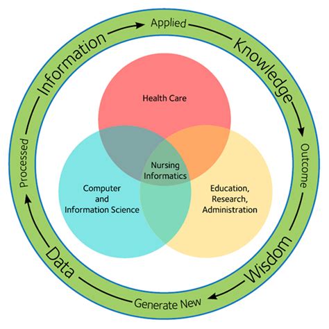 data information knowledge model nursing informatics