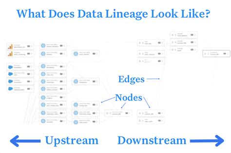 Data Lineage Vs Data Catalog