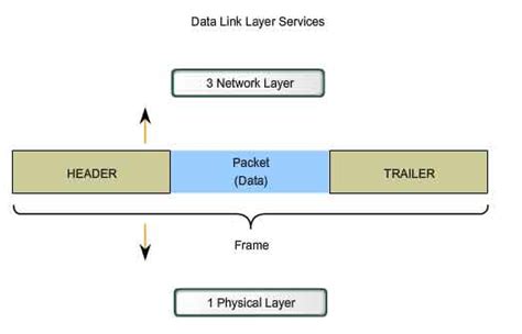 Data Link Layer Header
