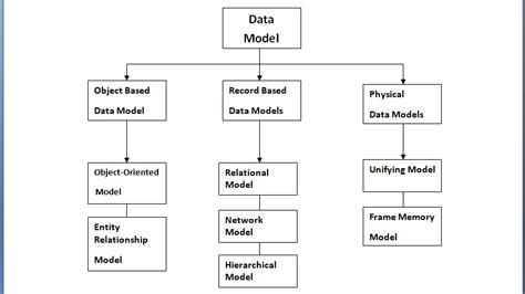 data model and it's types