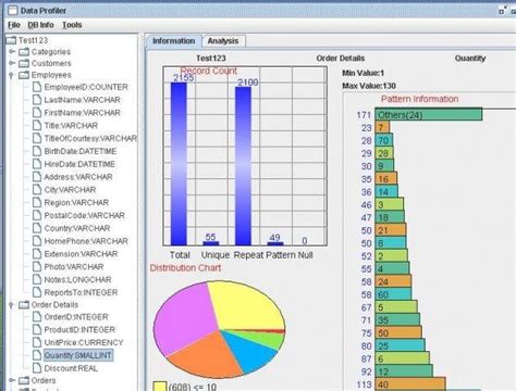 data profiling tools examples