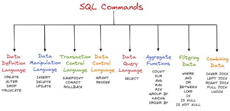 data query language commands with examples
