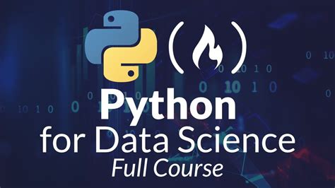 data science in python course free