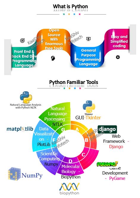 data science with python internship report pdf free