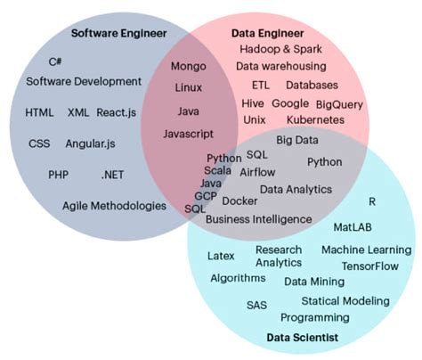 data scientist vs software engineer work life balance