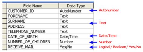 data type is used for descriptive fields