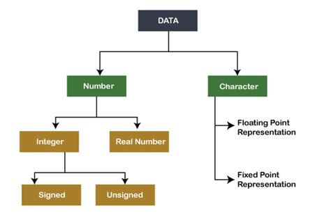 data types in computer organization