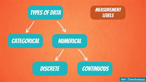 Data Types Numeric Categorical