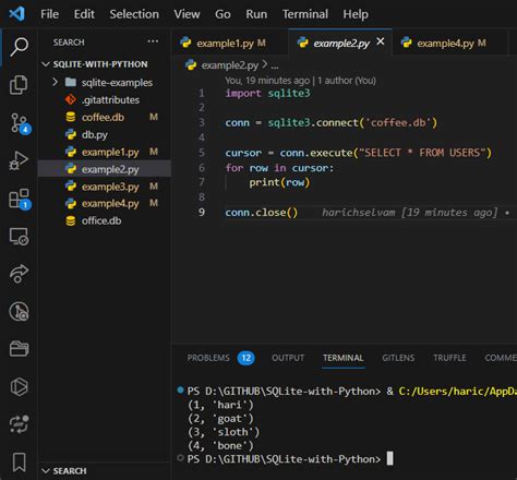 database connectivity in python sqlite3