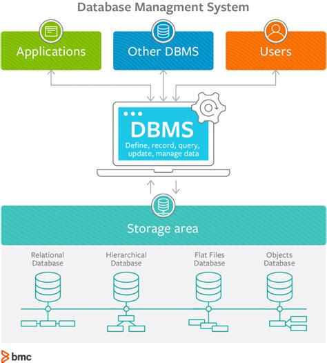 database management system software examples