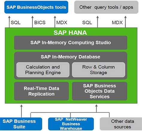 database sap hana